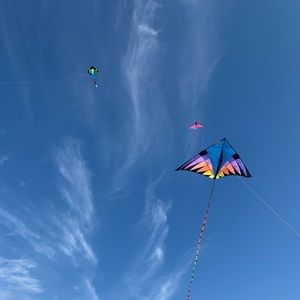 Meet your Posher, Tiwi